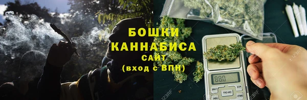 дмт Богданович