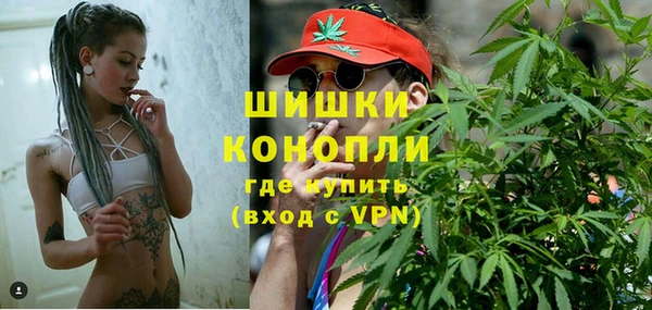 дмт Богданович