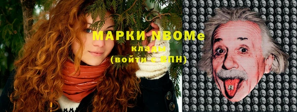 дмт Богданович