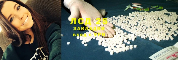 дмт Богданович