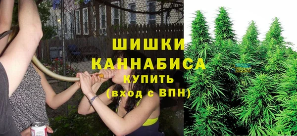 твердый Бронницы