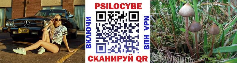 Псилоцибиновые грибы мухоморы  ОМГ ОМГ ONION  Верхняя Тура  где продают  